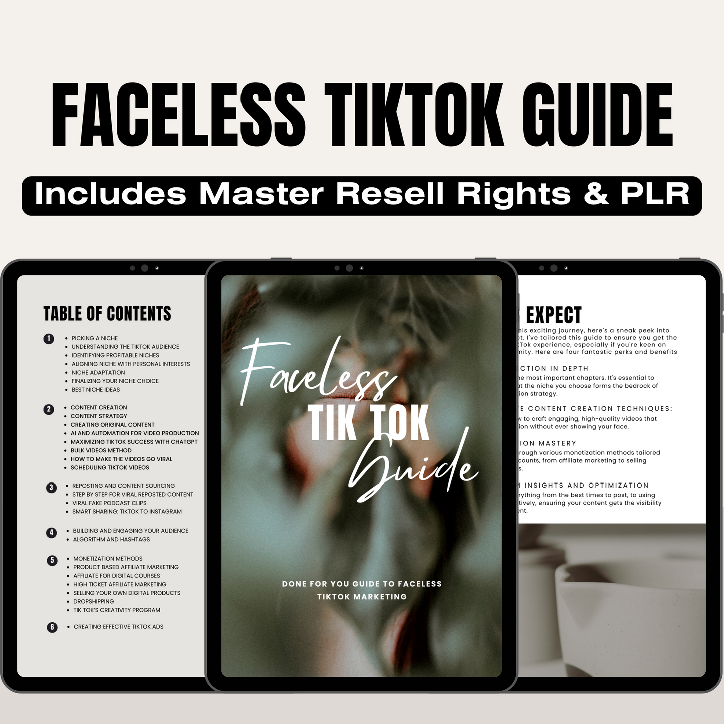 Faceless TikTok With Resell Rights